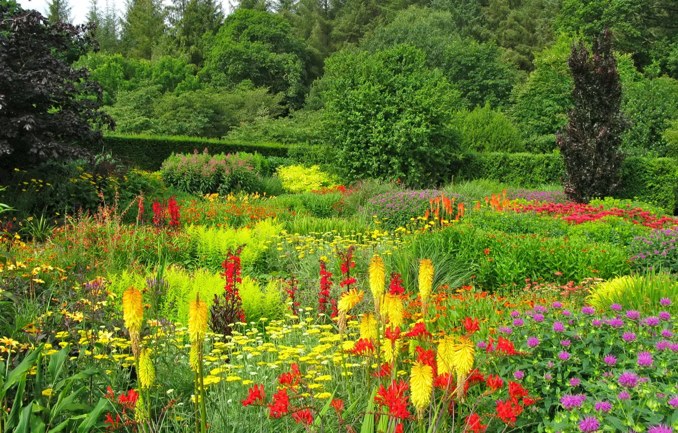 Фото обои зелень, лето, трава, деревья, цветы, парк, сад, Великобритания