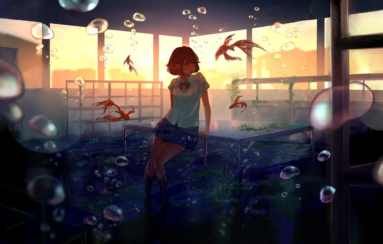 Фото обои девушка, рыбы, закат, улыбка, пузыри, аниме, арт, форма