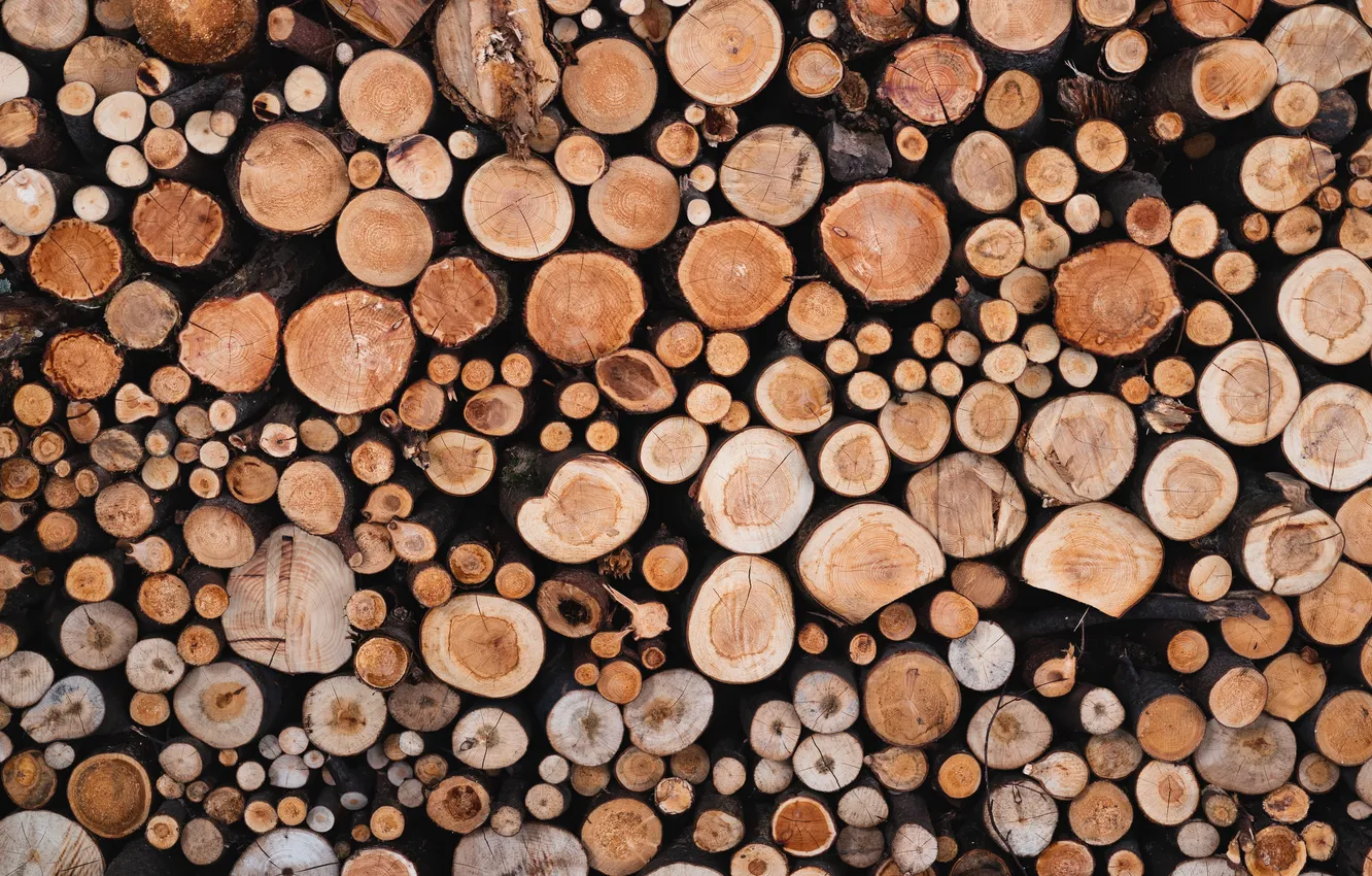 Фото обои colors, wood, pattern