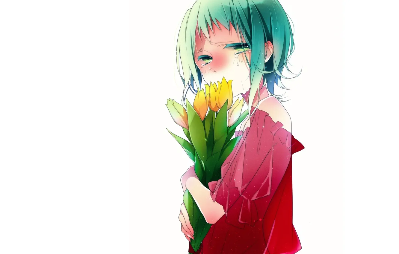 Фото обои желтые, слезы, тюльпаны, белый фон, блузка, vocaloid, зеленые волосы, art