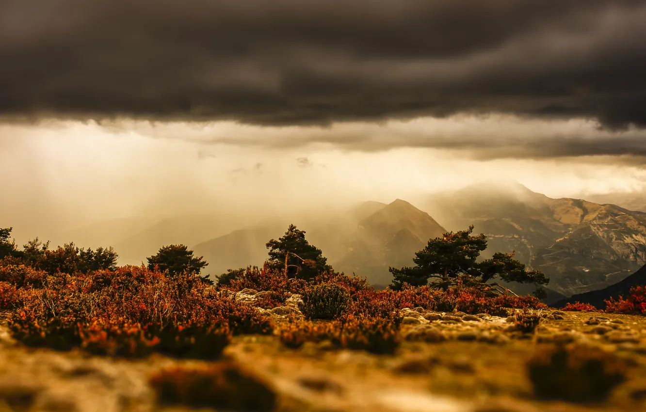 Фото обои трава, солнце, горы, серые облака буря