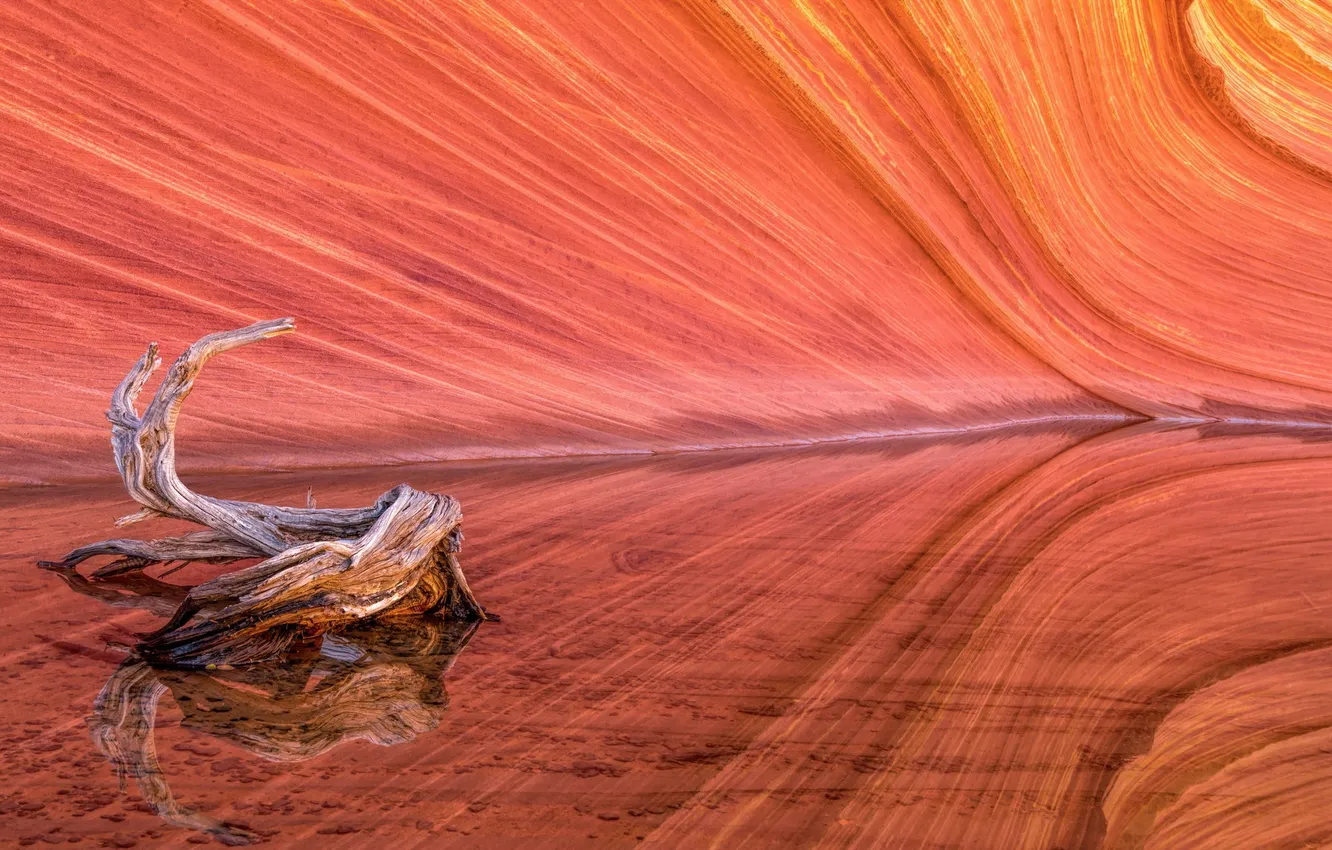 Фото обои Coyote Buttes, Wave, Red Rock