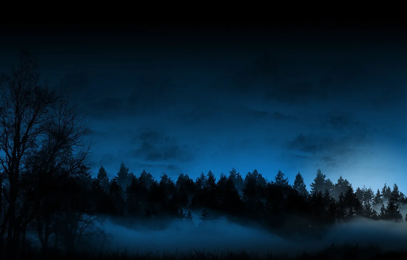 Фото обои ночь, туман, Лес