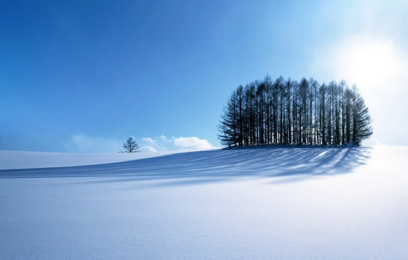 Фото обои road, sky, trees, blue, winter, mountain, snow, sun