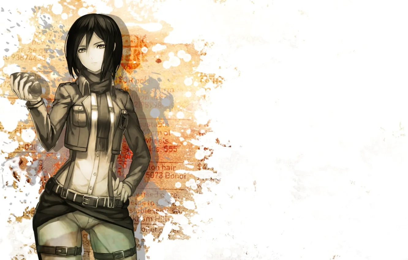 Фото обои девушка, Attack on Titan, атака титанов, Микаса, Mikasa