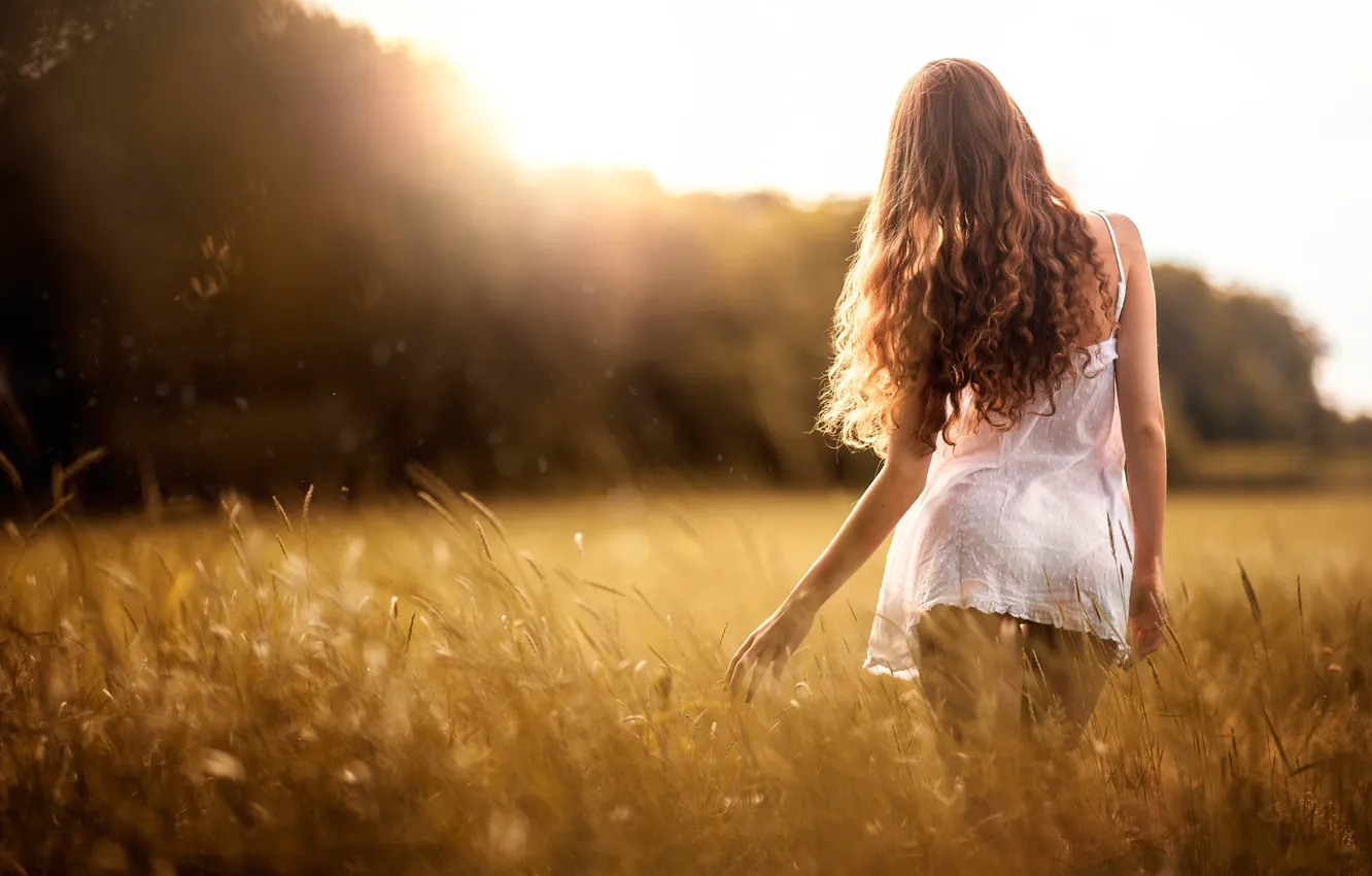 Фото обои поле, девушка, girl, sunny, sunny girl