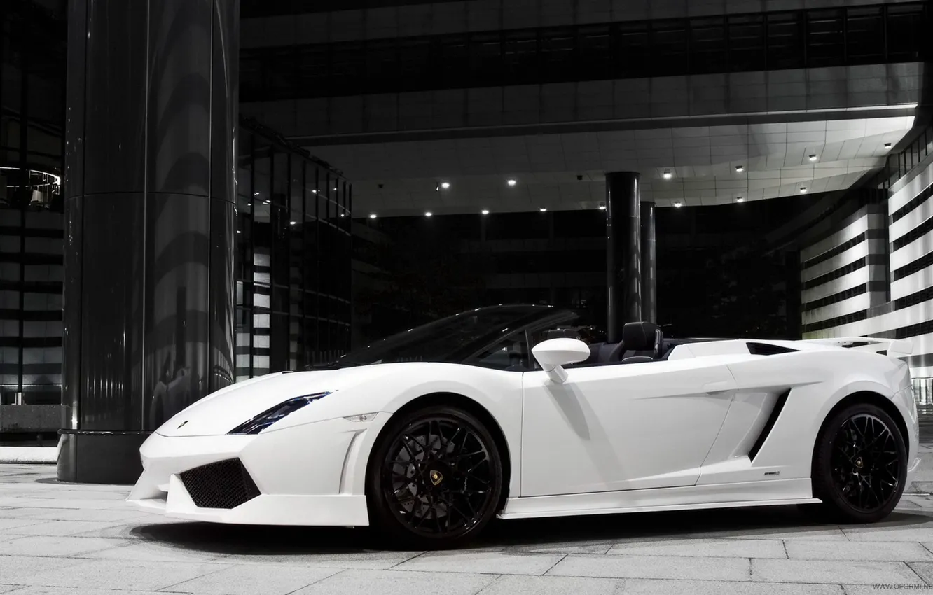 Фото обои скорость, Lamborghini, Машины, цвеи белый