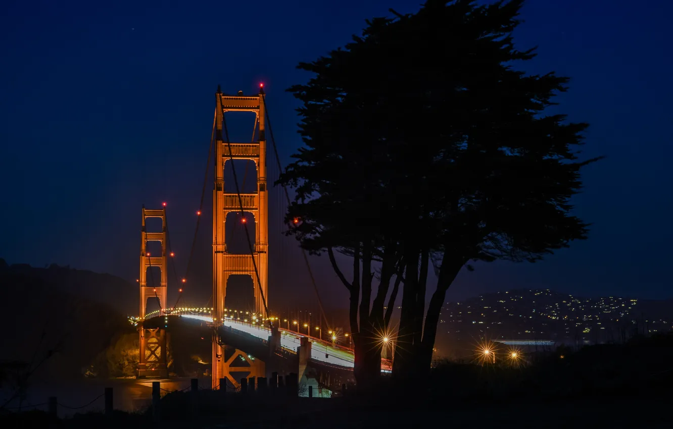 Фото обои ночь, мост, огни, дерево, Калифорния, Сан-Франциско, Золотые Ворота, Golden Gate Bridge