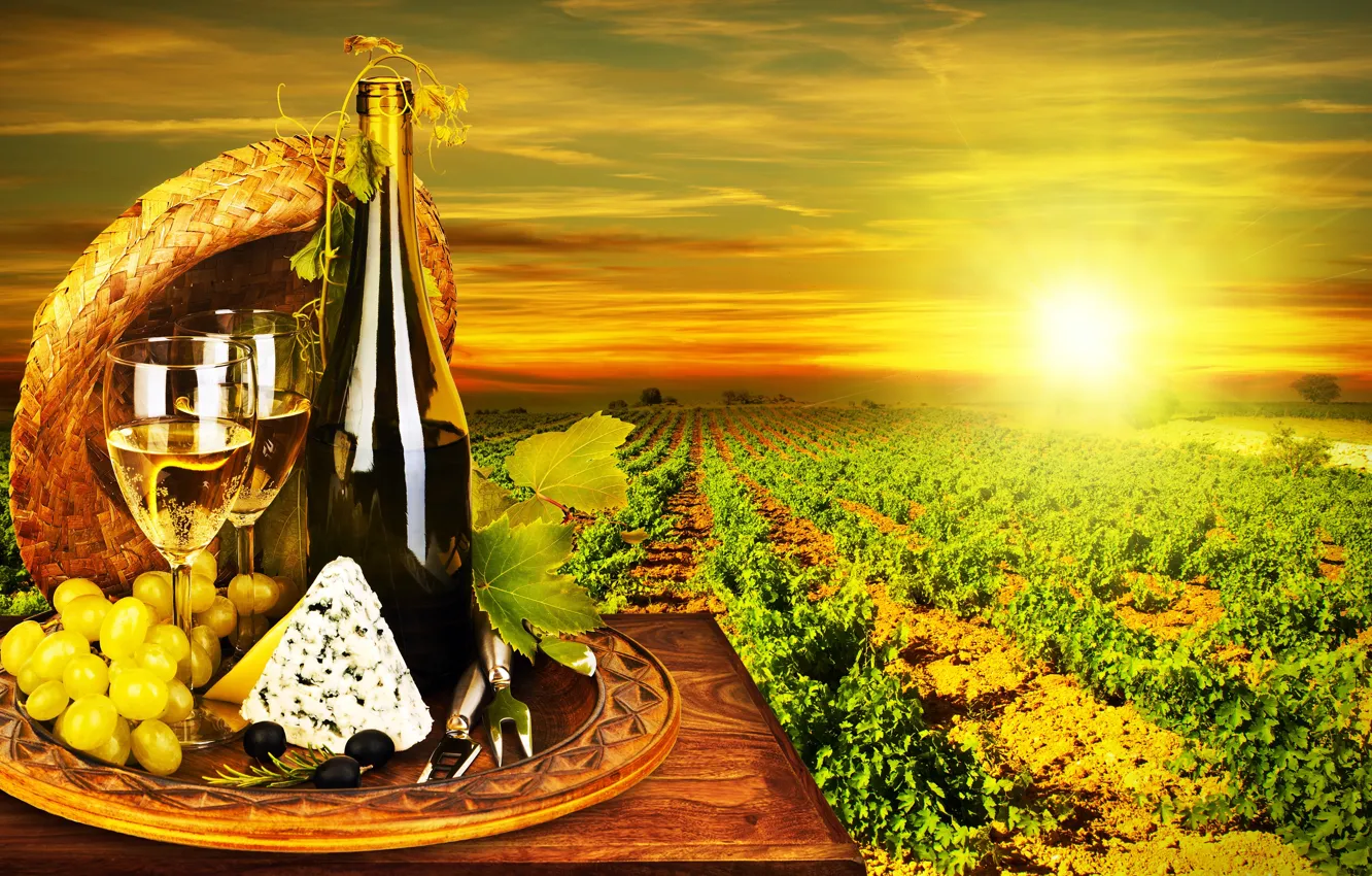 Фото обои солнце, вино, белое, бутылка, сыр, бокалы, виноград, виноградник