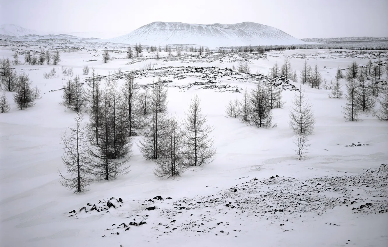Фото обои зима, снег, природа, гора