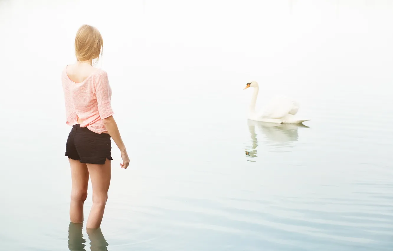 Фото обои девушка, озеро, настроение, лебедь