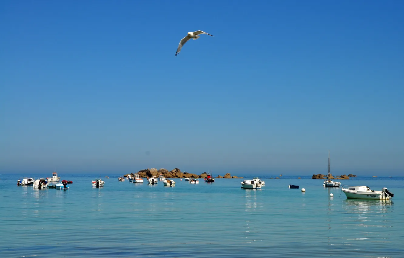 Фото обои море, небо, камни, птица, лодки