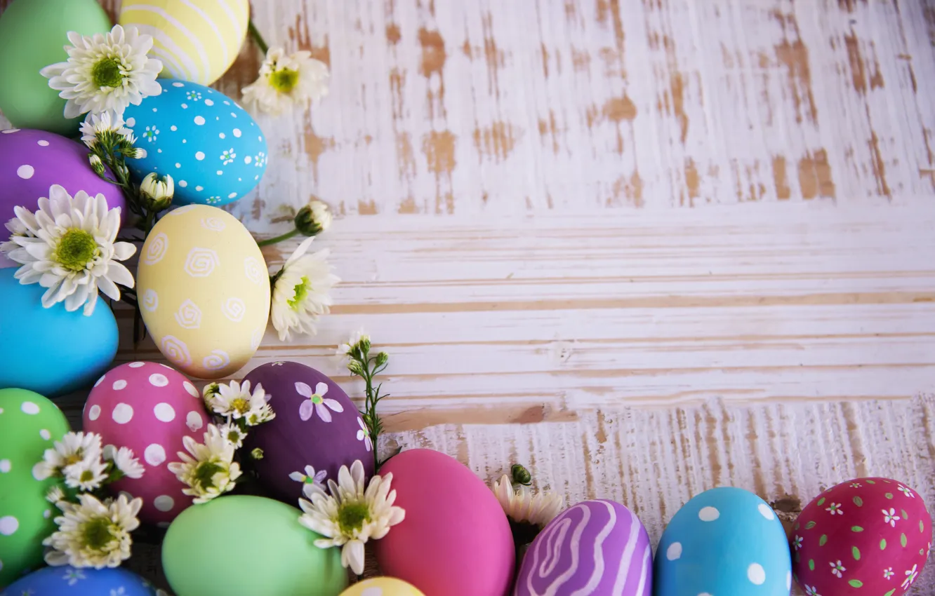 Фото обои праздник, яйца, пасха, хризантемы