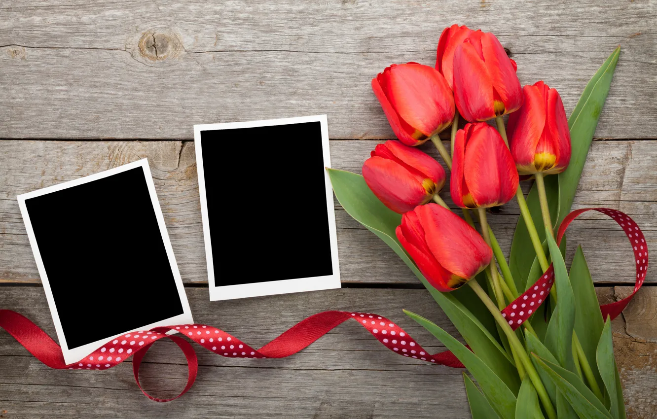 Фото обои букет, тюльпаны, red, tulips