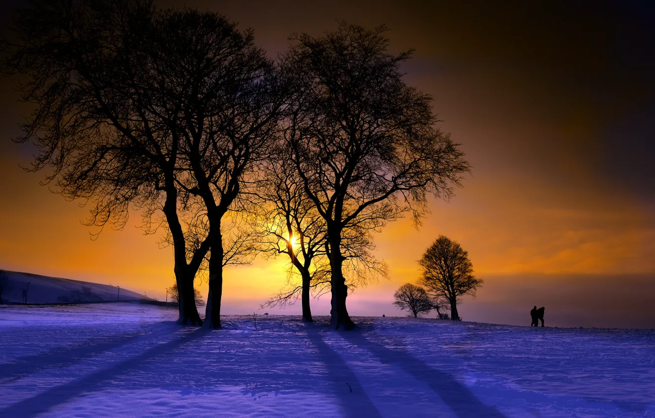 Фото обои деревья, пейзаж, закат