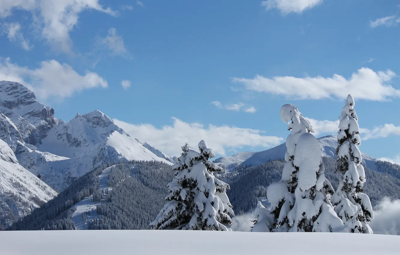 Фото обои зима, небо, снег, деревья, горы