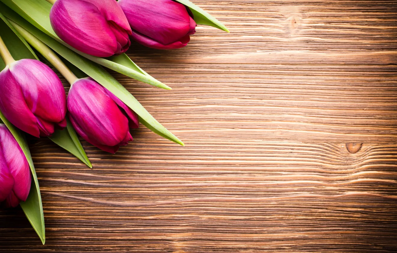 Фото обои цветы, букет, fresh, wood, pink, flowers, beautiful, tulips