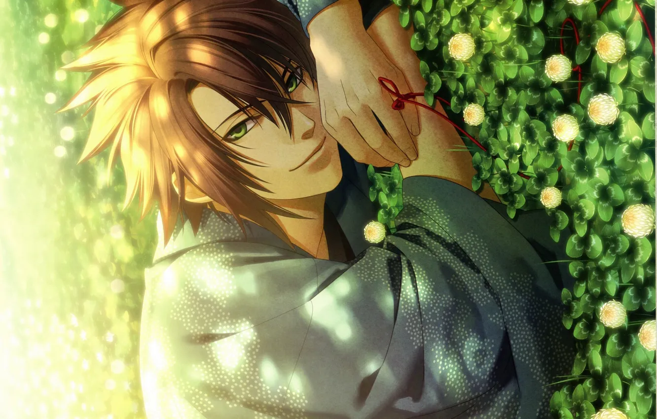 Фото обои парень, на траве, зеленые глаза, hakuouki shinsengumi kitan, okita souji, сказание о демонах сакуры, клевер …