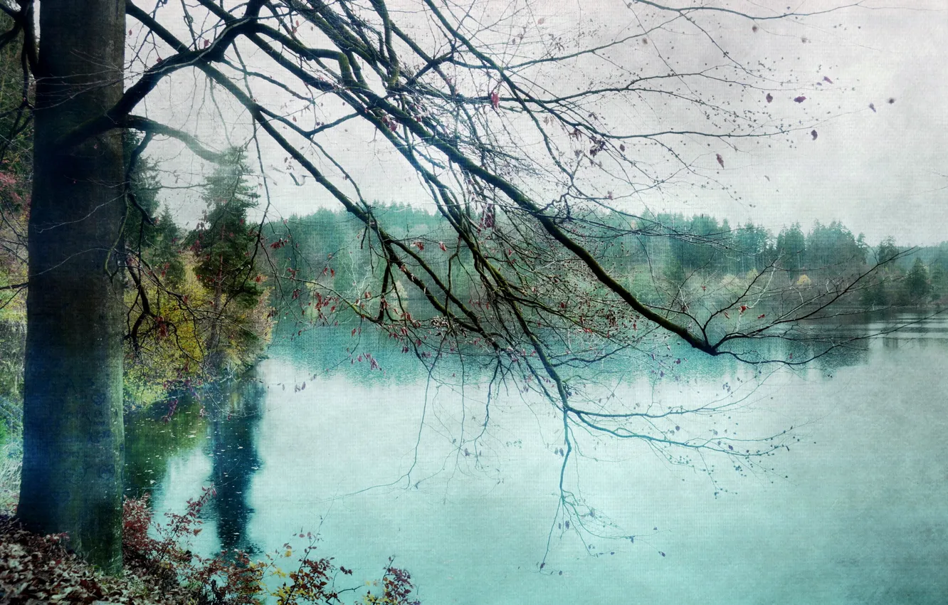 Фото обои природа, озеро, текстура