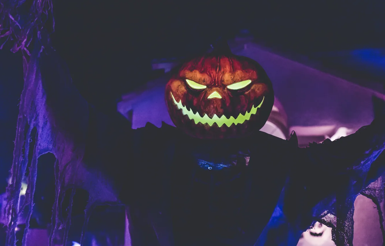Фото обои Хэллоуин, парень, светильник Джека