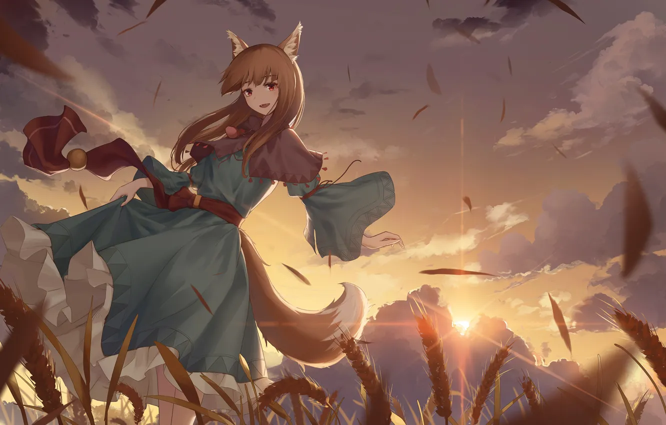 Фото обои поле, девушка, закат, ветер, Spice and Wolf, Holo, Волчица И Пряности