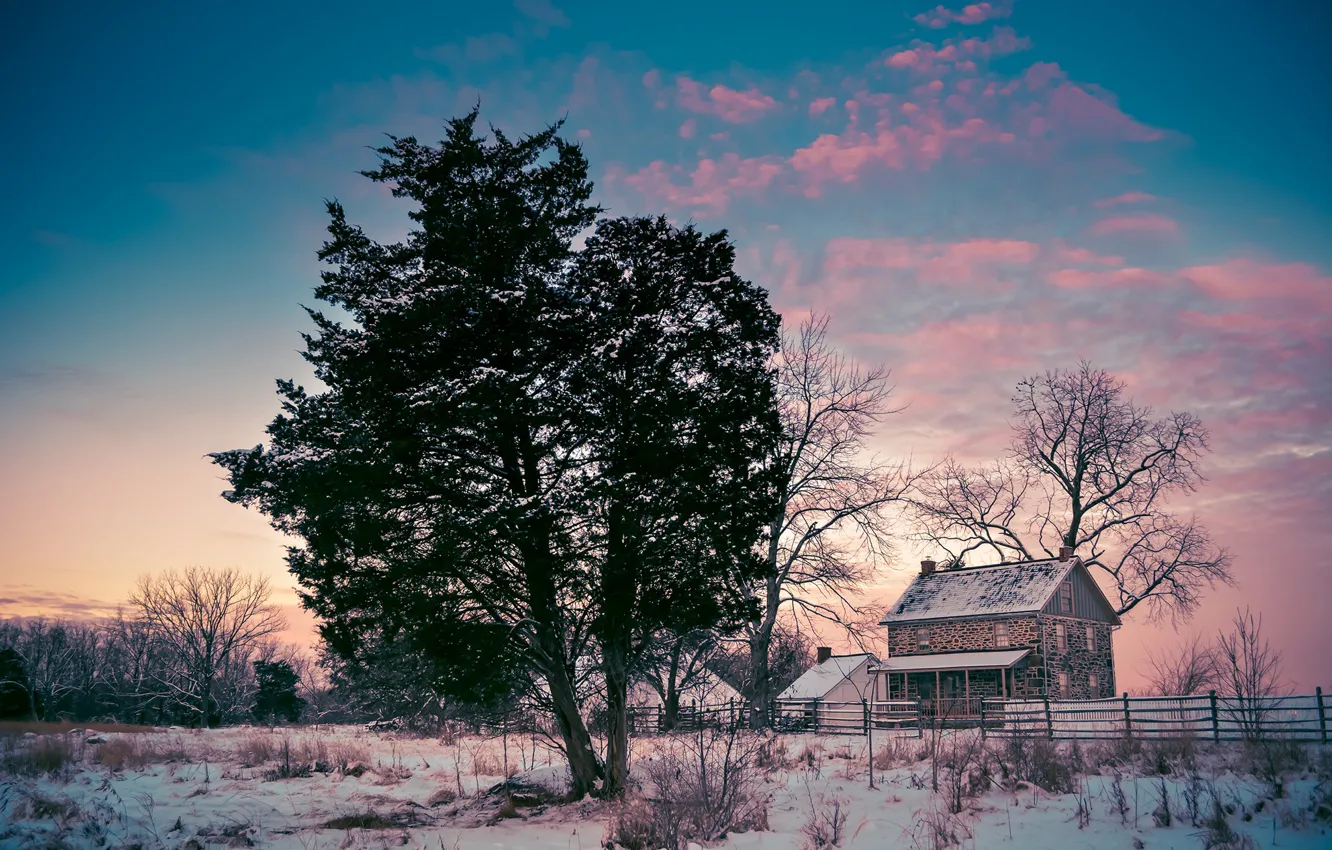 Фото обои зима, поле, лес, небо, облака, снег, деревья, закат