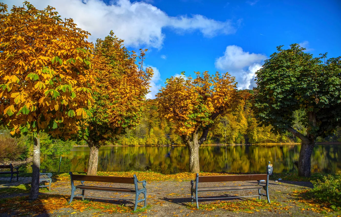 Фото обои осень, деревья, скамейка, природа, река, фото, Германия