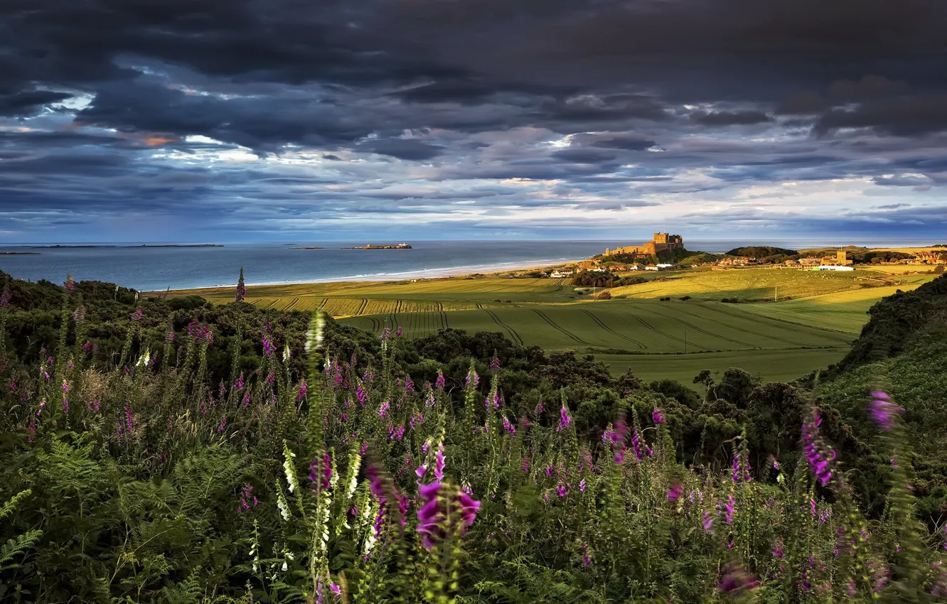 Фото обои Bamburgh Castle, Northumberland, Farne Islands