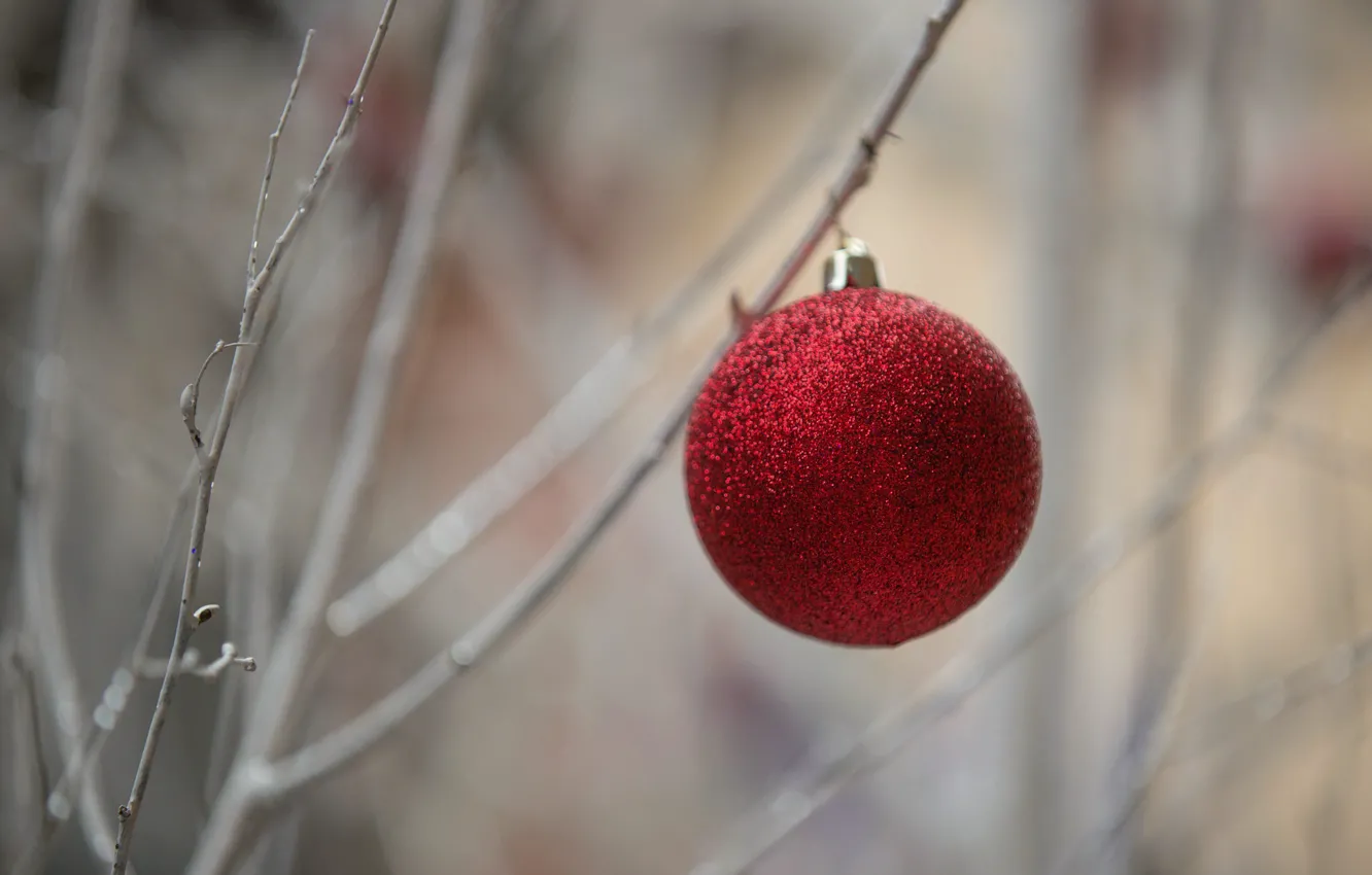 Фото обои праздник, игрушка, шар, шарик, Christmas time