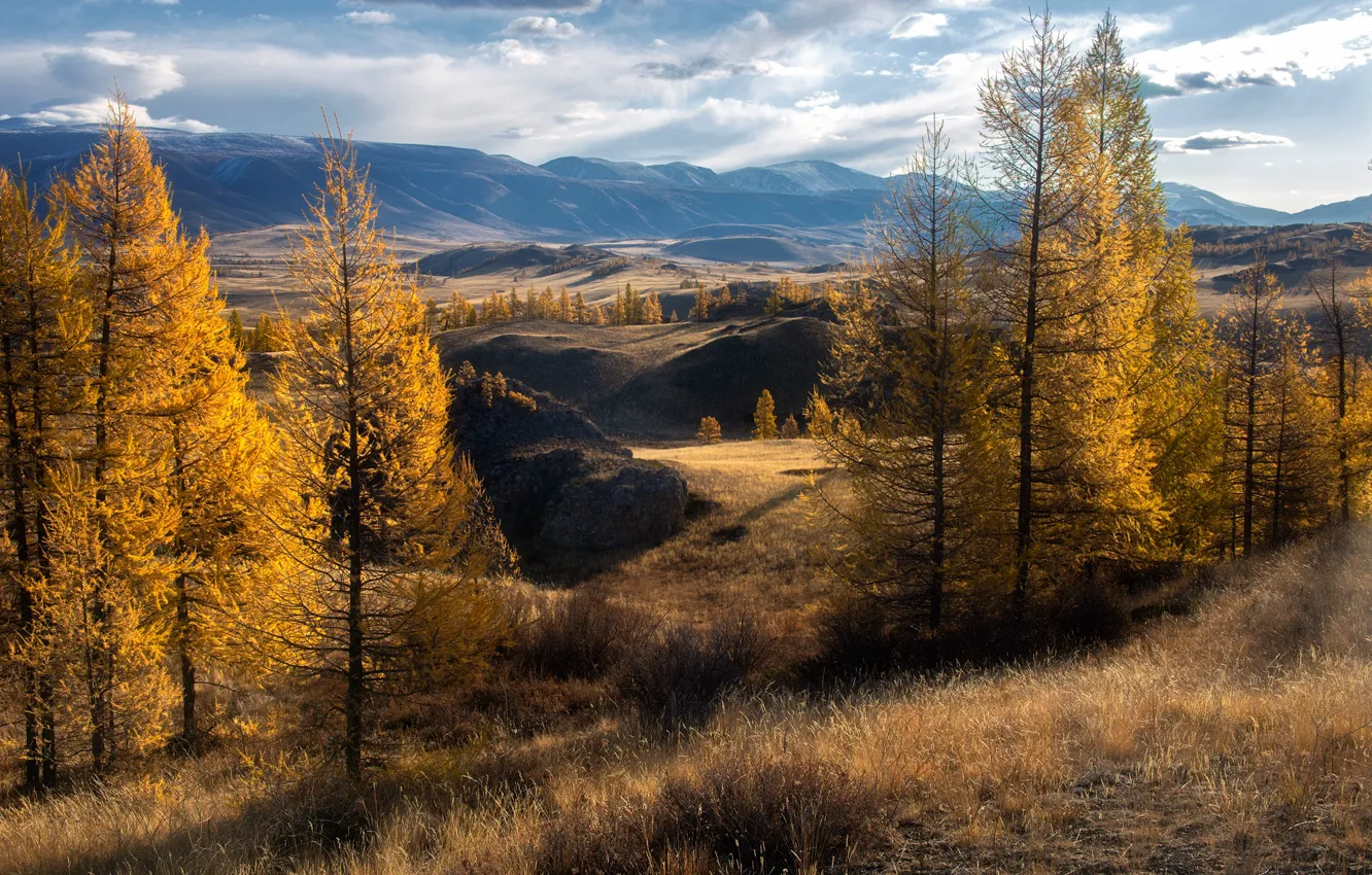 Фото обои осень, деревья, пейзаж, горы, природа, холмы, Юрий Столыпин
