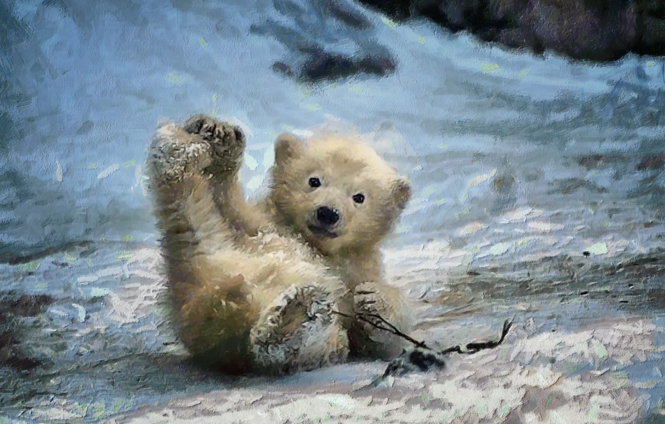 Фото обои зима, фон, мордочка, медвежонок