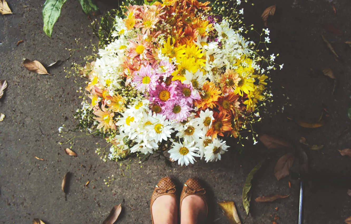 Фото обои цветы, ноги, обувь, букет, лепестки, балетки