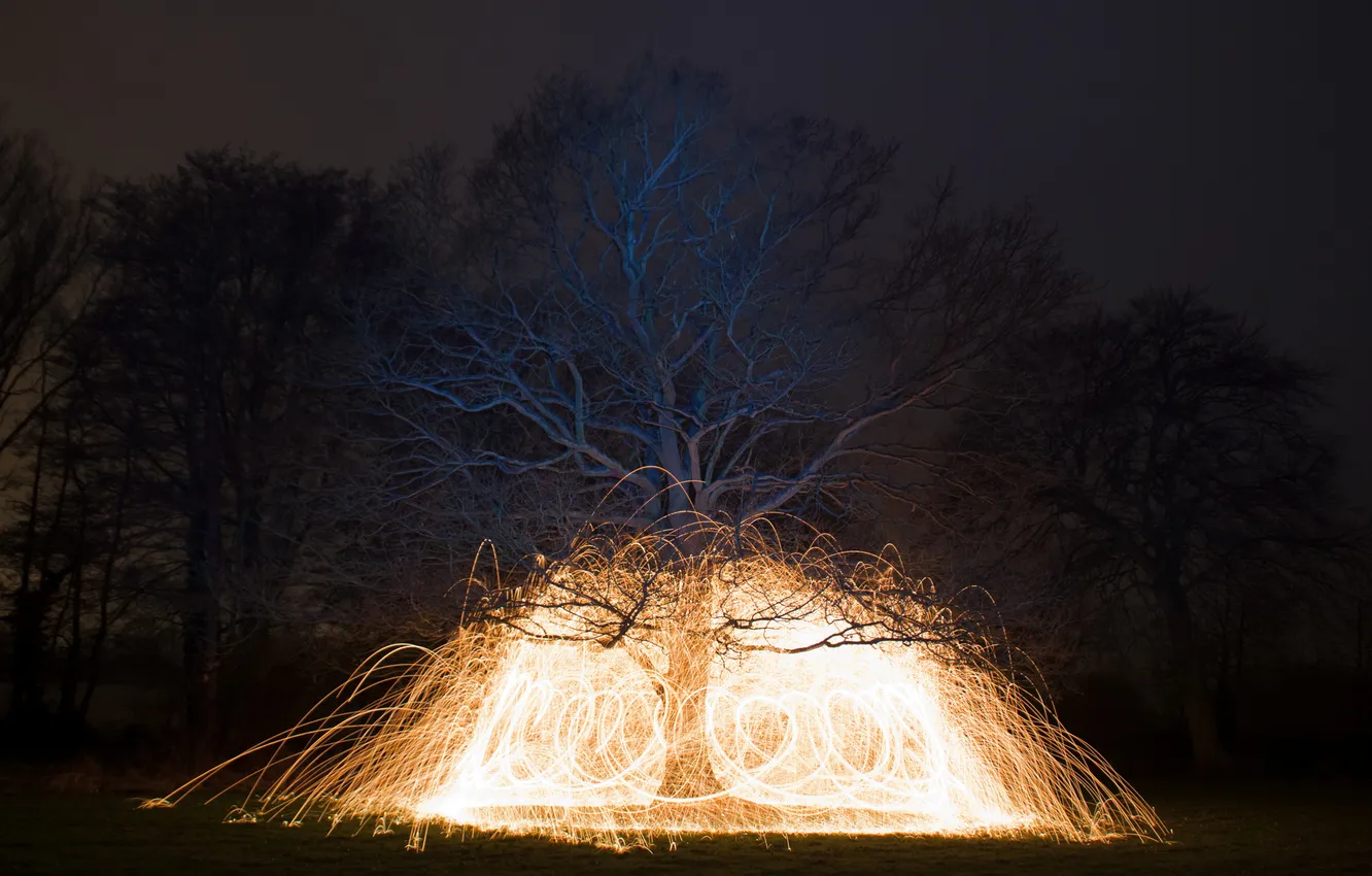 Фото обои свет, ночь, огни, дерево