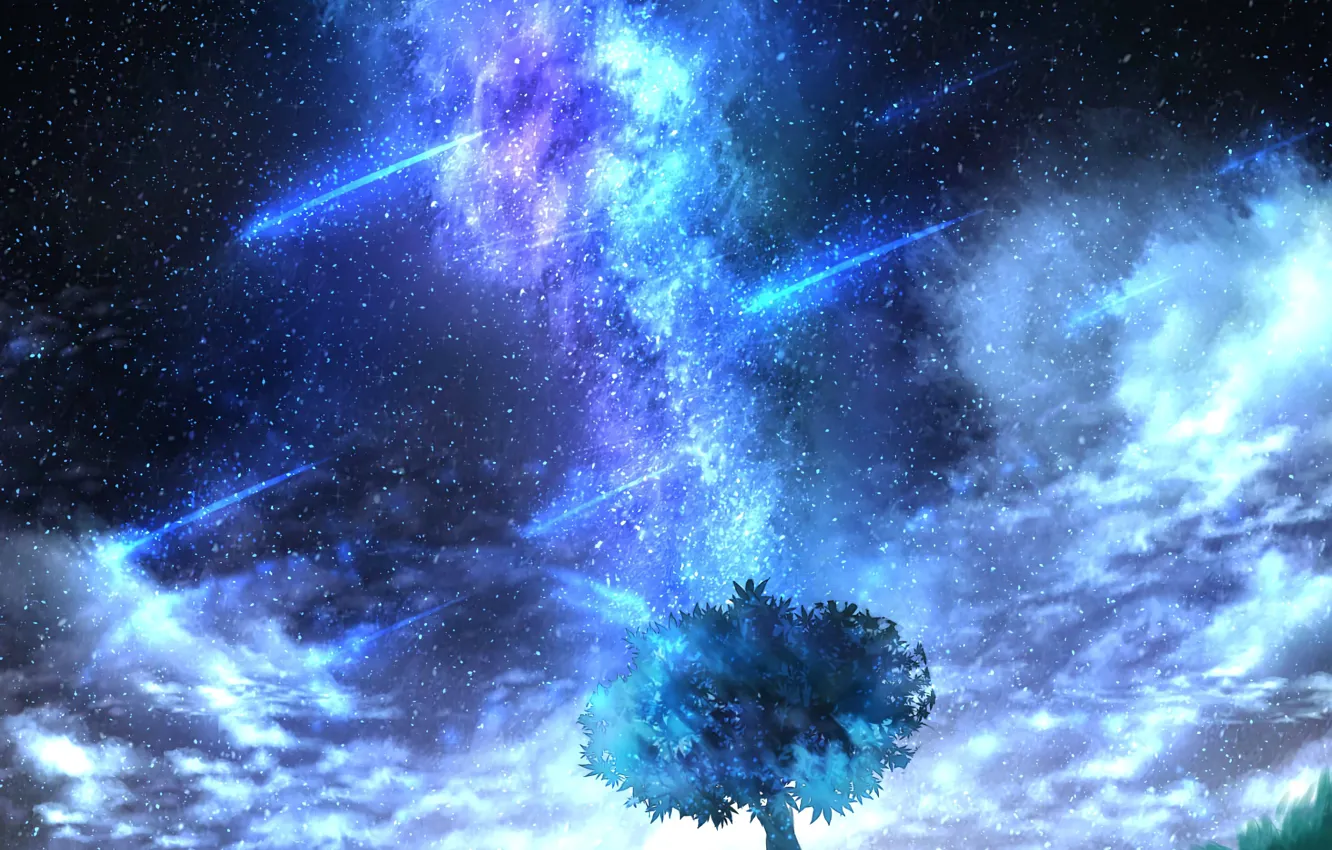 Фото обои небо, деревья, ночь, млечный путь, by CZY