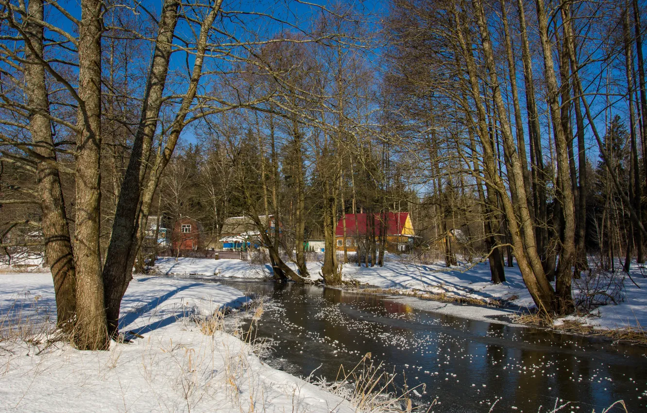 Фото обои зима, лес, природа, деревушка, зимний день