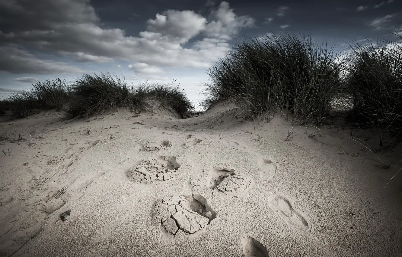 Фото обои песок, небо, дюны