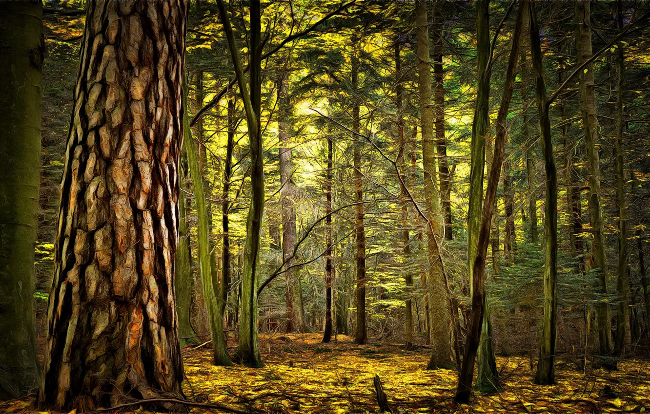 Фото обои осень, лес, digital painting