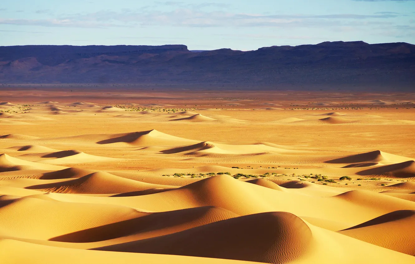 Фото обои песок, небо, барханы, холмы, пустыня, текстура, дюны
