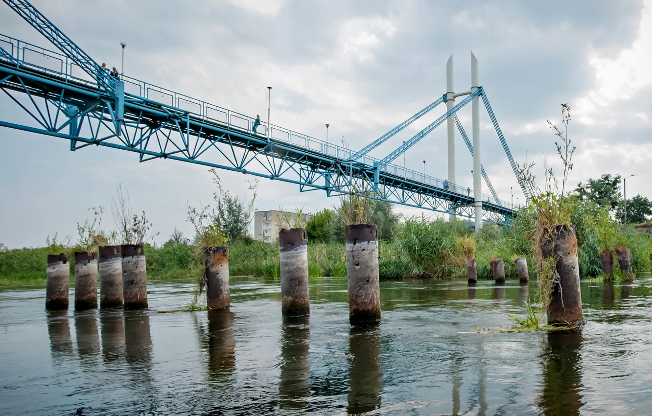 Фото обои мост, река, старые сваи