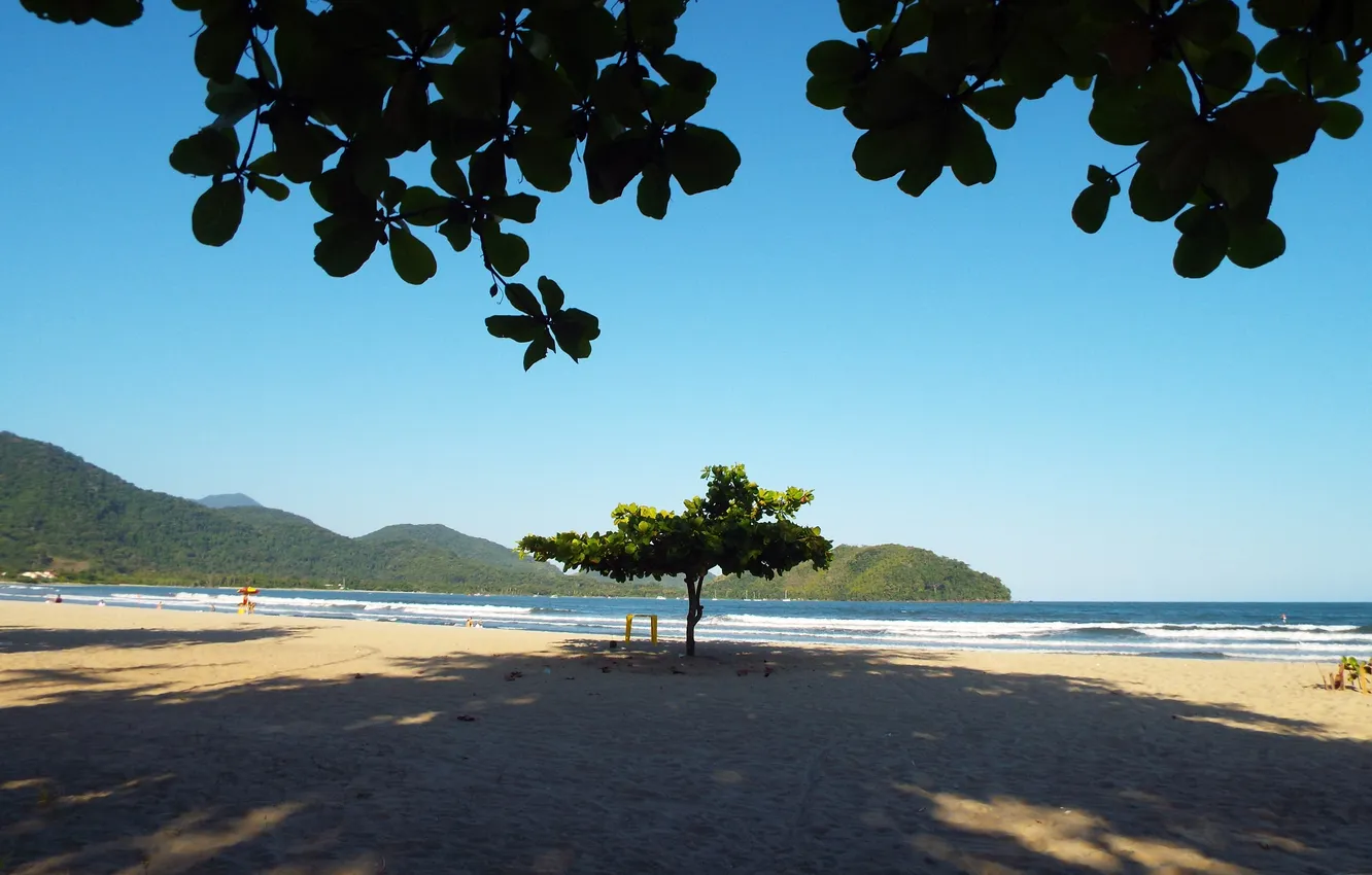 Фото обои beach, sea, ocean, tree, Brazil, Ubatuba City