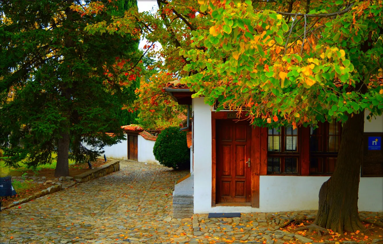 Фото обои Осень, Дом, Fall, Листва, Autumn, Двор, Leaves