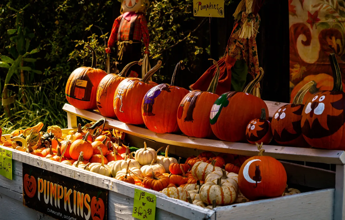 Фото обои осень, украшения, праздник, рисунки, тыквы, хэллоуин, рынок, хеллоуин