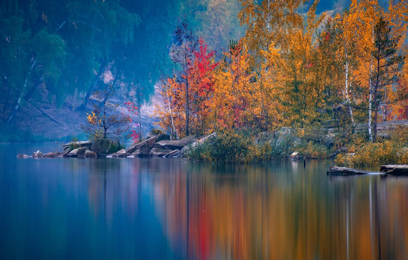 Фото обои осень, деревья, Россия, водоём, Московская область, Павел Ныриков