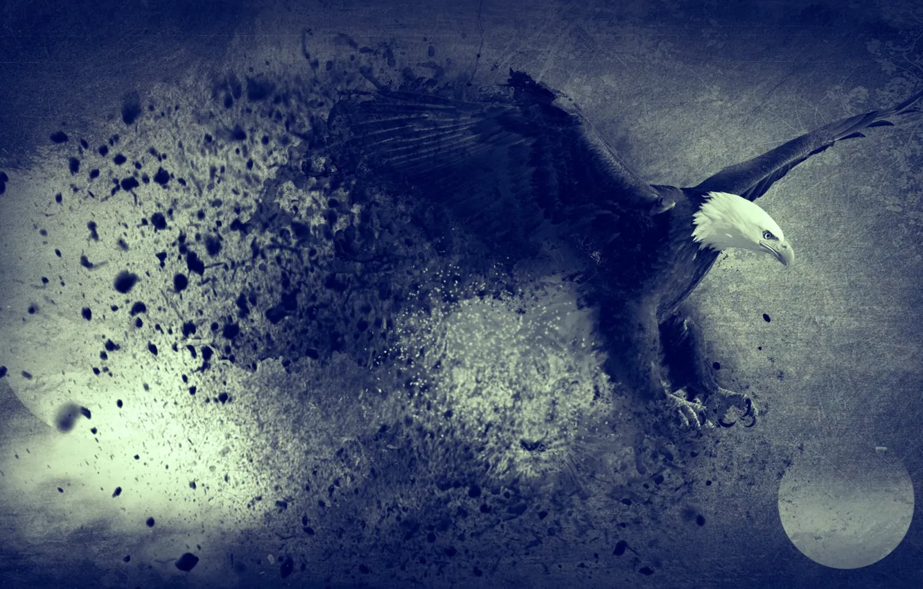 Фото обои abstract, moon, flying, bird, blue, freedom, eagle, digital art