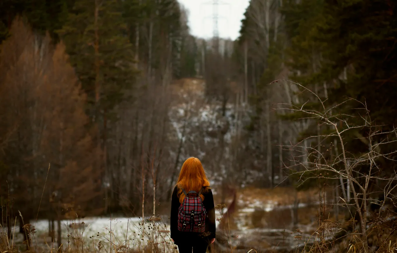 Фото обои лес, боке, рыжеволосая девушка, осень.снег