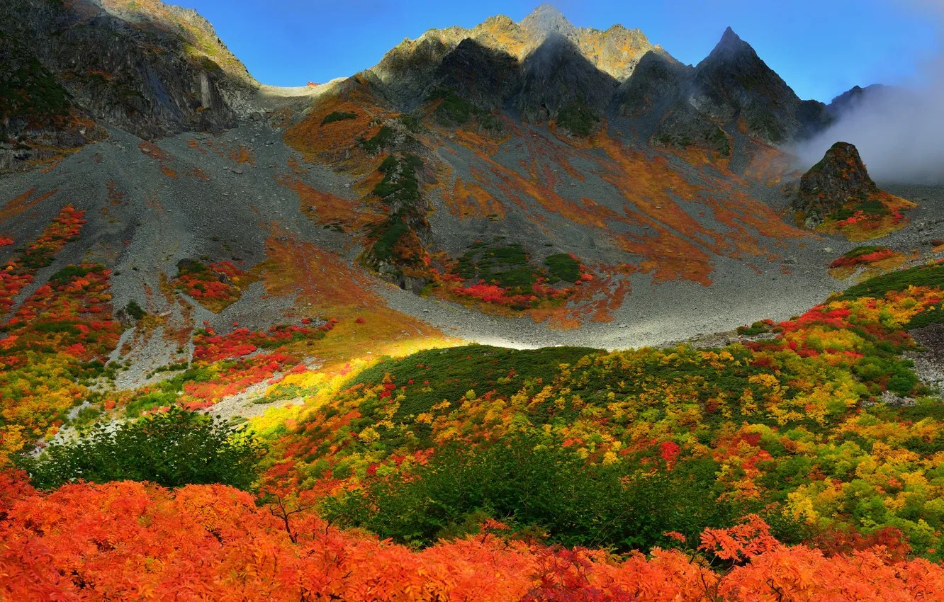 Фото обои осень, небо, деревья, горы