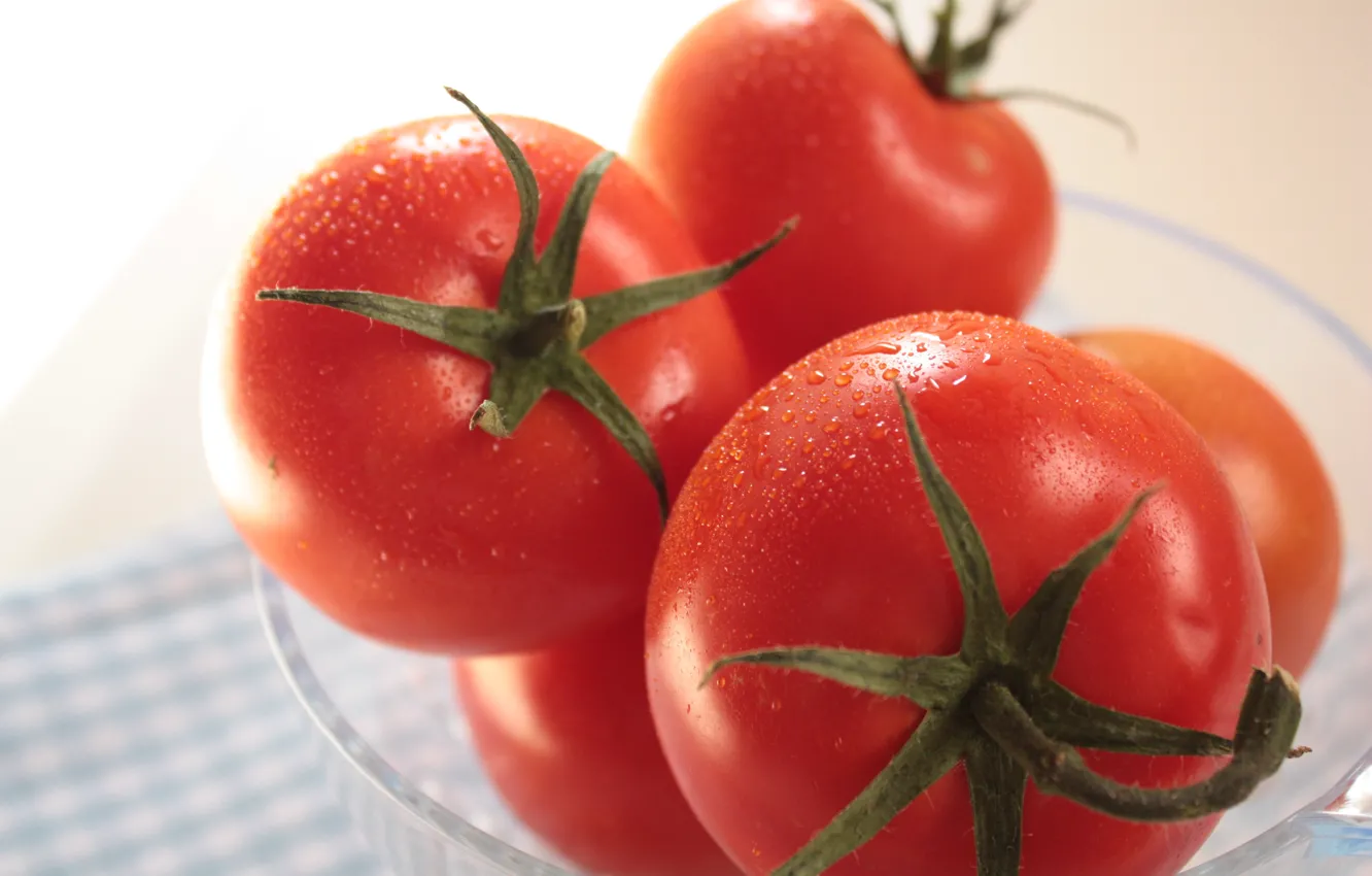 Фото обои Капли, Помидоры, Drops, Tomatoes