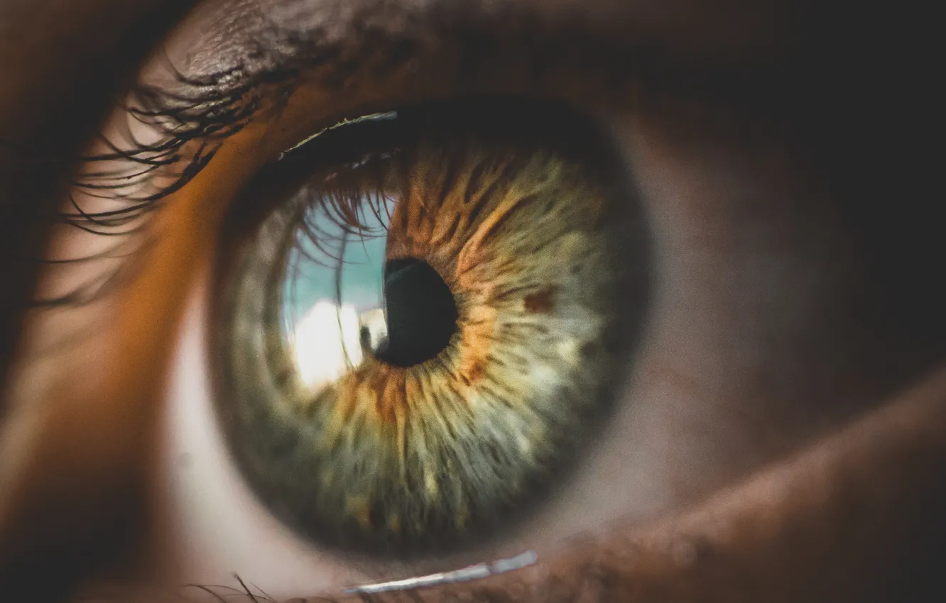 Фото обои colors, eye, pupil