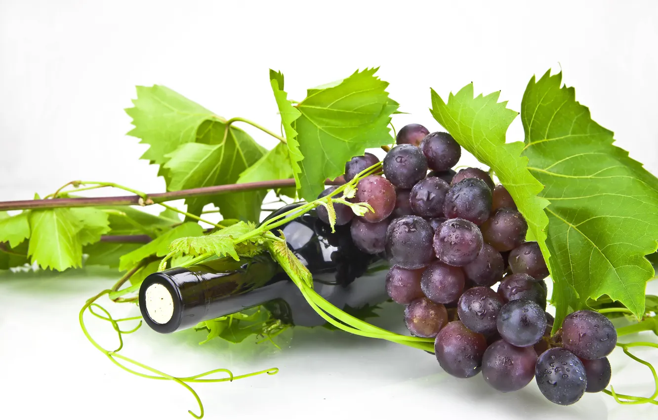 Фото обои листья, вино, бутылка, виноград, пробка, лоза
