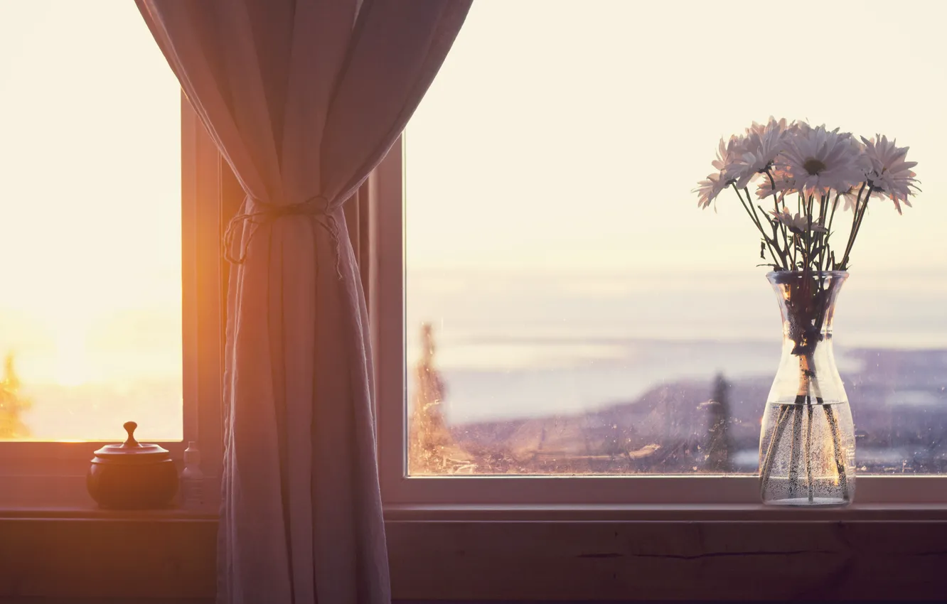 Фото обои цветы, букет, лепестки, окно, подоконник